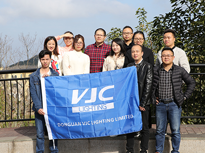 VJC Lighting Annual Meeting 2020